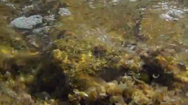 Подводный Вид Волны Разбивающиеся Дне Моря Средиземном Море — стоковое видео