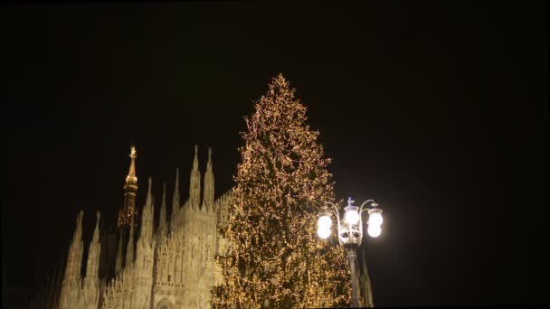 圣诞树灯装饰品和大教堂大教堂在晚上 2017年12月 意大利 — 图库视频影像