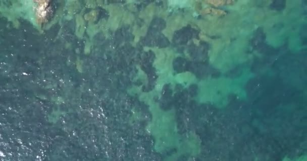Flygfoto Över Capobianco Vit Klintkusten Med Kristallklart Vatten Medelhavet Elba — Stockvideo