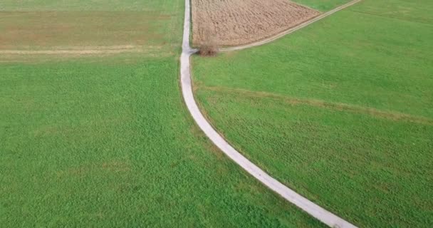 Vliegen Boven Een Concrete Landweg Loopt Door Een Schilderachtige Platteland — Stockvideo