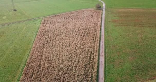 Vliegen Boven Een Concrete Landweg Loopt Door Een Schilderachtige Platteland — Stockvideo