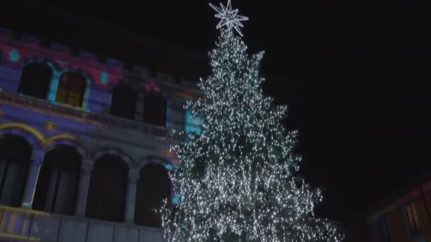 Κόμο χριστουγεννιάτικο δέντρο φως τη νύχτα — Αρχείο Βίντεο
