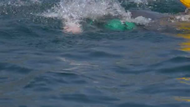 Plavání venku zblízka — Stock video