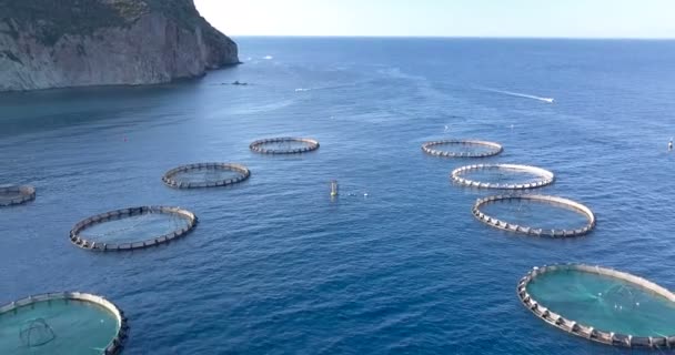 Letecký pohled na akvakulturu — Stock video