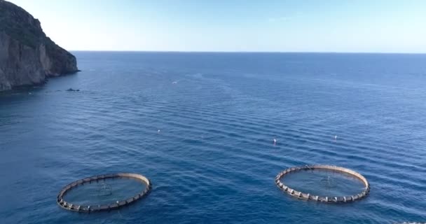 Aquaculture Aerial View — Stock Video