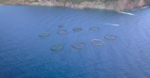 Aquaculture Vue Aérienne — Video