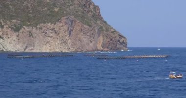 Su Ürünleri Kafesi