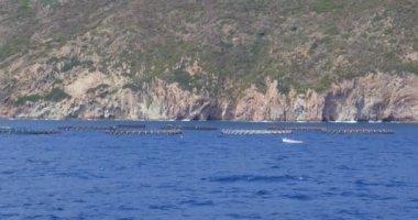 Su Ürünleri Kafesi