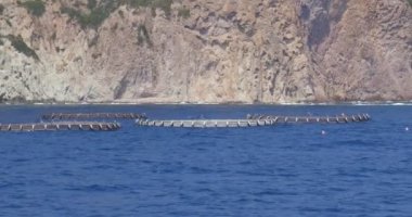 Su Ürünleri Kafesi