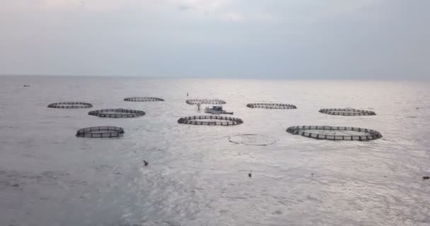 Aquaculture Aerial View — Stock Video