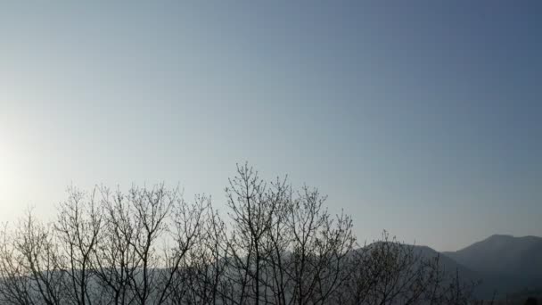 树型轮廓天空冬季行人 — 图库视频影像