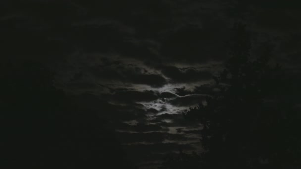 6K月亮树云彩时间 — 图库视频影像