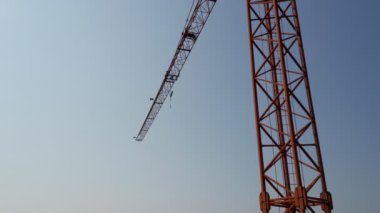 Crane Silouhette Güneş Işığı Gökyüzü