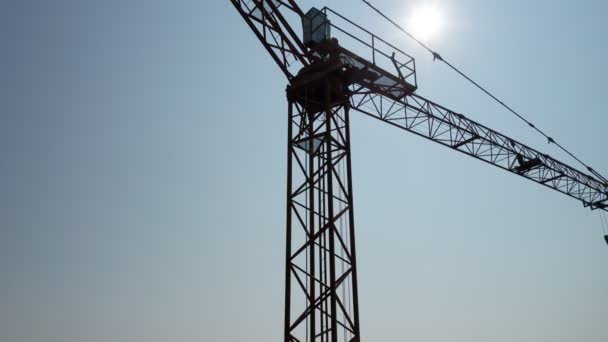 Grue Silouhette Soleil Ciel