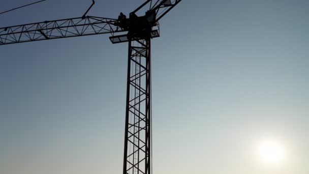 Grue Silouhette Soleil Ciel