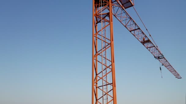 Grue orange isolé ciel bleu