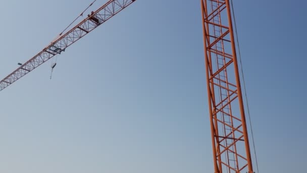 Grue orange isolé ciel bleu