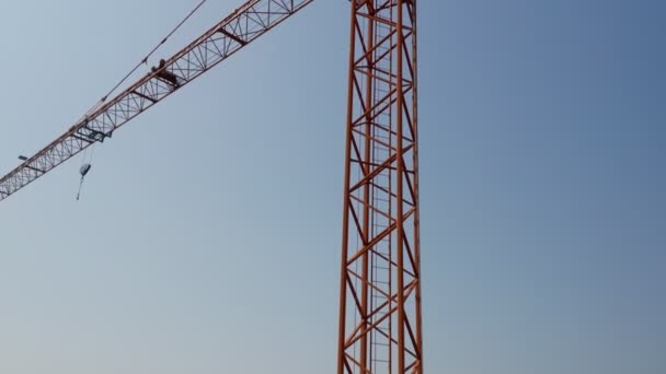 Grue orange isolé ciel bleu