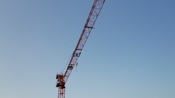 Grue orange isolé ciel bleu — Video