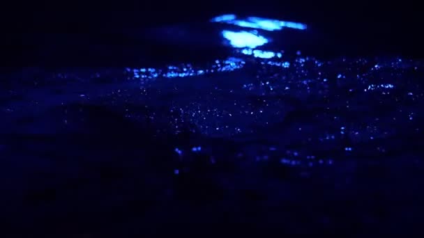 Luz de noche de agua silueta infantil cámara lenta — Vídeo de stock