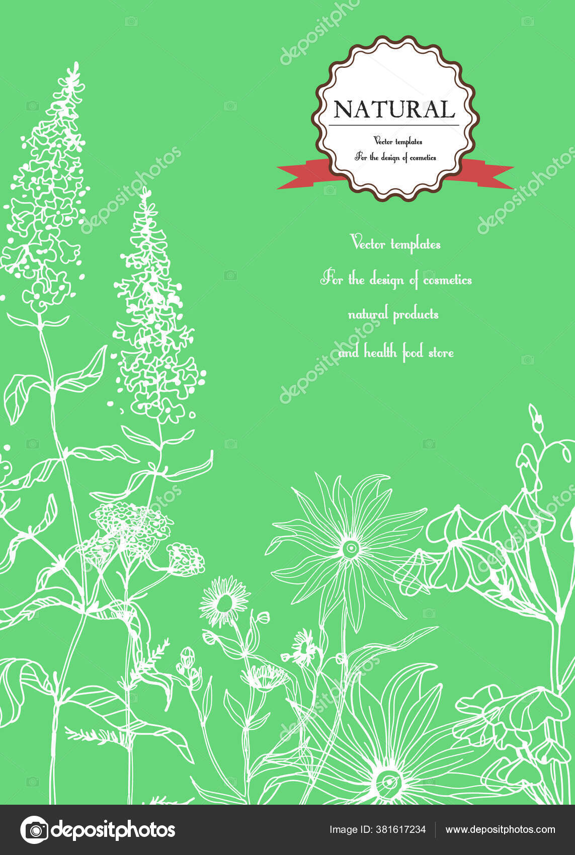 Vector Hand Draw Template Label Background Dengan Tangan Menarik Bunga Stok Vektor C Sveslatasla 381617234