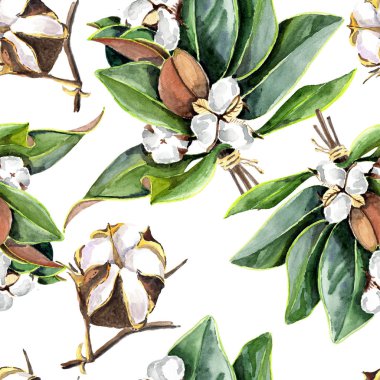 Kır çiçeği pamuk bir suluboya çiçek. Bitki tam adı: pamuk. Arka plan, doku, sarıcı desen, çerçeve veya kenarlık için Aquarelle kır çiçeği. -İllüstrasyon