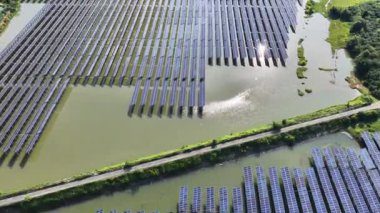 Güneş enerjisi üretimi, güneş panelleri bitki 