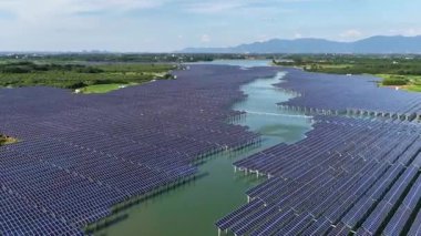 Güneş enerjisi üretimi, güneş panelleri bitki 