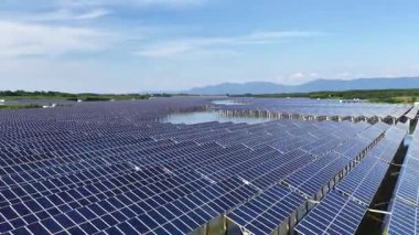 Güneş enerjisi üretimi, güneş panelleri bitki 