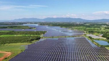 Güneş enerjisi üretimi, güneş panelleri bitki 