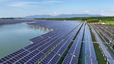 Güneş enerjisi üretimi, güneş panelleri bitki 