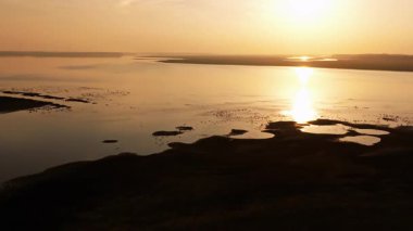 a flock of birds flying in the lake at sunset