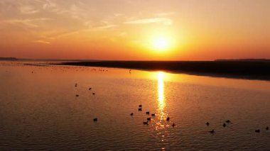 amazing sunset on the river with birds flock 