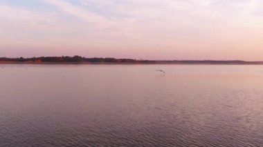 amazing sunset on the river with birds flock 