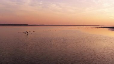 amazing sunset on the river with birds flock 