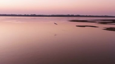 beautiful sunset over the lake with bird flying by 