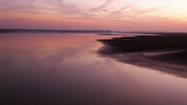 flock of birds in the evening, in the river, nature scenic view 