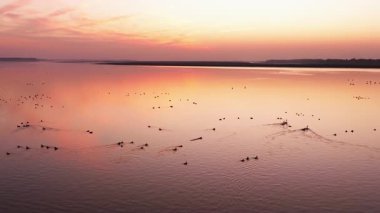 Günbatımı nehirde kuşlar akın ediyor. 
