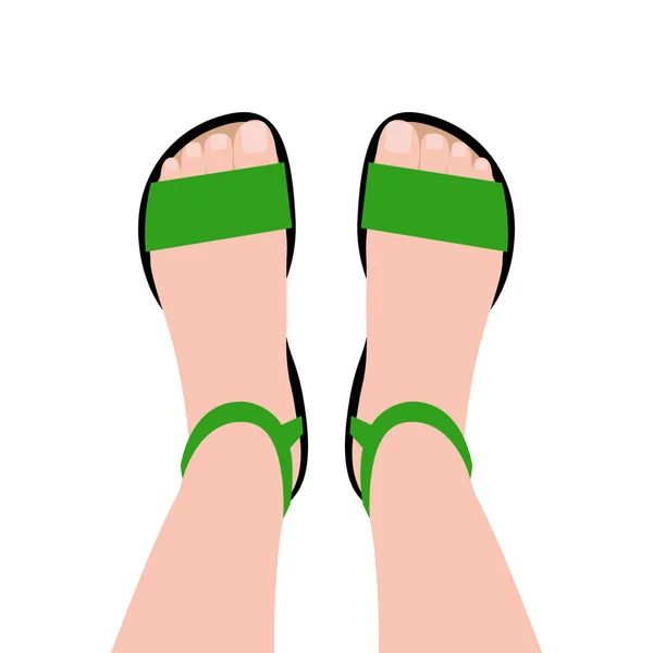 Pandangan atas sepatu hijau. Sepatu kasual wanita - Stok Vektor