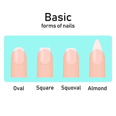 Farklı temel moda doğal tırnak şekilleri. Çivi çeşitleri formları ayarlayın. Salon çivi tip trendleri. Vektör Illustration