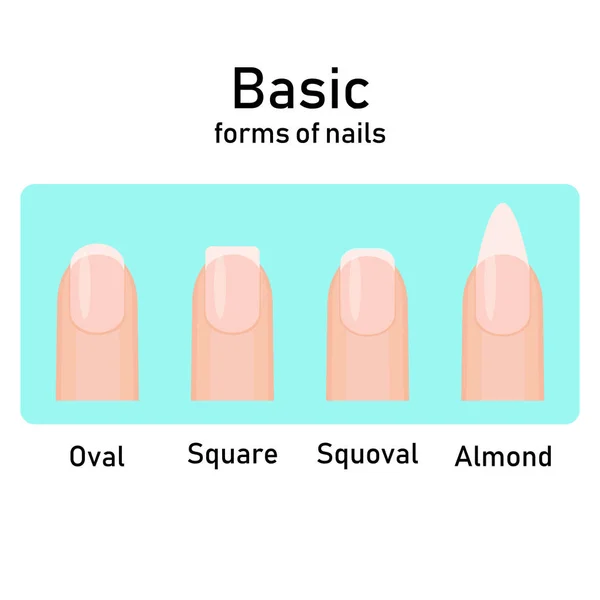Olika grundläggande mode naturliga spik former. Ställ sorter former av naglar. Salon naglar typ trender. Vektor illustration — Stock vektor