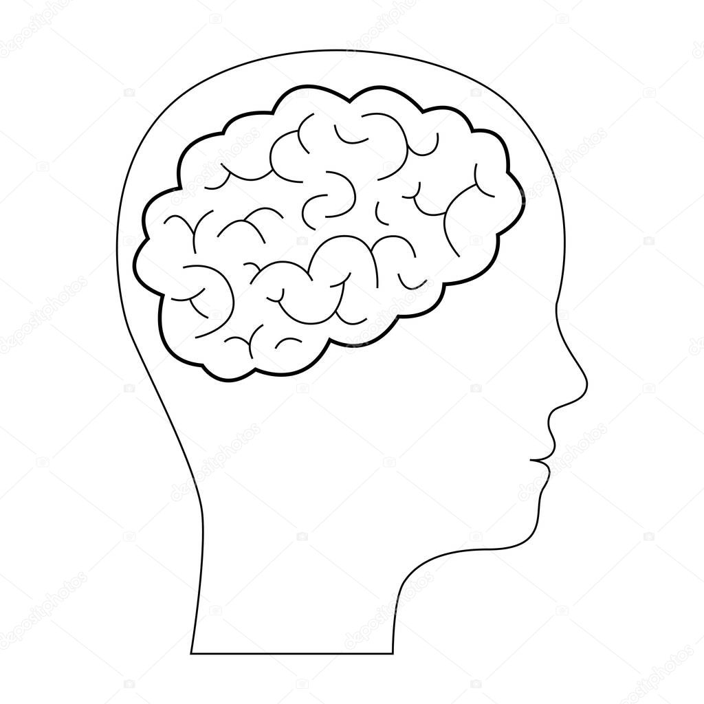 Contour black silhouette human face with brain inside. Profile of face of schoolboy, student. Brain development at young age. Vector illustration