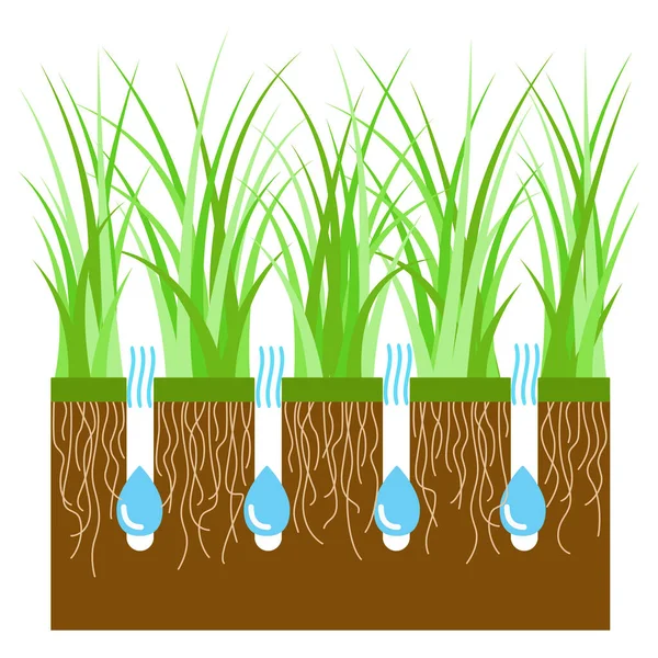 Aerazione prato per la crescita attiva delle piante. Libero accesso dell'acqua e dell'aria al suolo. Prato cura erba, giardinaggio e paesaggistica. Illustrazione vettoriale — Vettoriale Stock