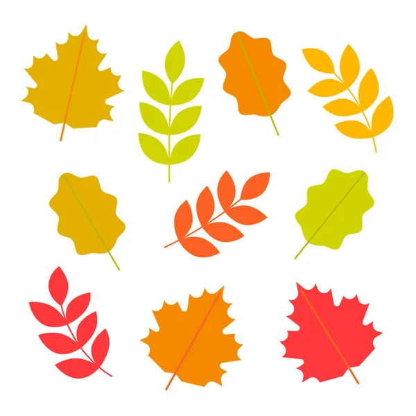 Набор осенних листьев. Падшие листья клена, дуба, рябины. Векторная иллюстрация — стоковый вектор