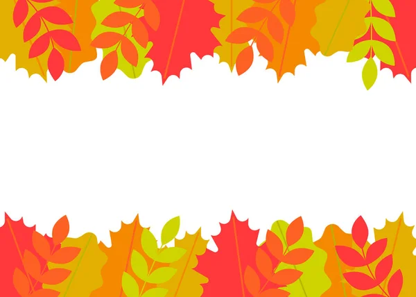 Grens herfstbladeren. Frame gevallen bladeren van esdoorn, eik, rowan. Vector — Stockvector