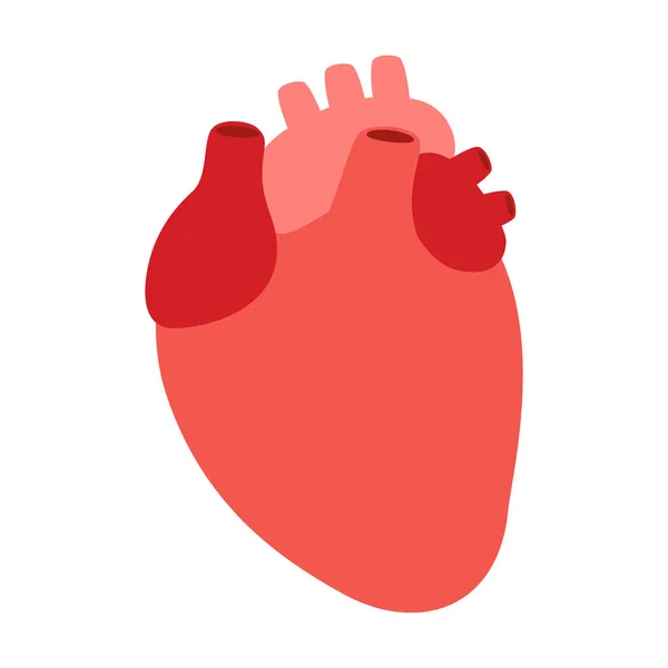 Órgano Cardíaco Cardiología Trastornos Cardíacos Vector Ilustración — Archivo Imágenes Vectoriales