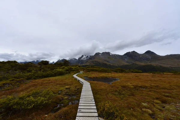 Panoramautsikt Över Tomma Sökvägen Kall Höst Berg — Stockfoto