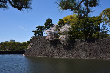 güneşli bir günde nehir kıyısında İmparator Sarayı duvarı, Tokyo, Japonya 