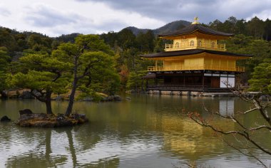 Zen Budist Tapınağı Kinkaku-ji çarpık çam ormanları arasında parıldayan altın katlarıyla Japonya 'nın Kyoto Gölü' ne yansıyor.