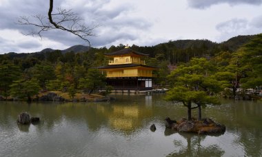 Zen Budist Tapınağı Kinkaku-ji çarpık çam ormanları arasında parıldayan altın katlarıyla Japonya 'nın Kyoto Gölü' ne yansıyor.